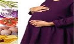 خوراکی‌های مفید و مضر در دوران بارداری