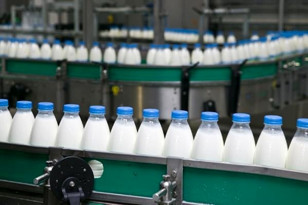 شیر تو شیر بازار لبنیات