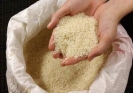 کمبود برنج عامل اصلی گرانی‌های اخیر