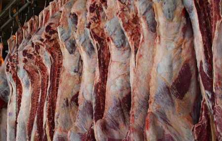 ریشه نابسامانی قیمت گوشت در چیست؟