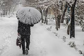 برف بهاری در ۸ استان