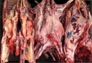 افزایش نامتعارف قیمت گوشت گوسفندی