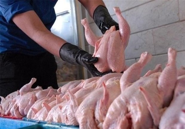 قیمت پیشنهادی مرغ ۶۵۰۰ الی ۶۷۰۰ تومان در استان تهران است