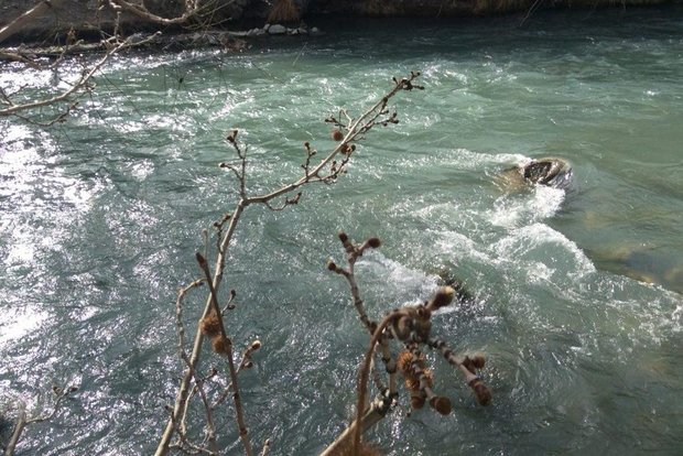 آلودگی رودخانه کرج از میانگین کشوری بالاتر نیست