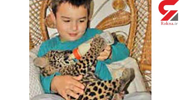 دوستی عجیب پسر ۱۲ ساله با ۳۵ حیوان وحشی +عکس